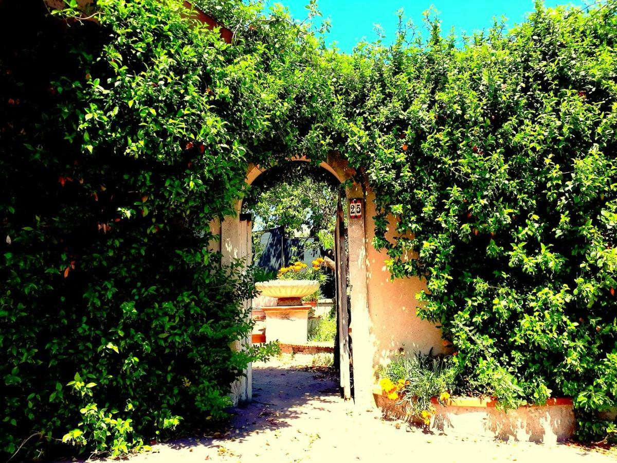 Casa Magnolia Appartement Pomezia Buitenkant foto